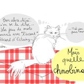 Chat ira pour cette fois. -