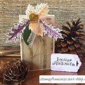 Projet d'Atelier démonstration avec l'Insta Pochette Stampin Up - Stampin'Francoise