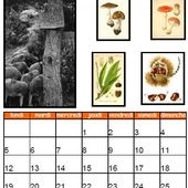 Calendrier Doisneau Septembre à Mai - Des Bonheurs à l'École