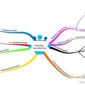 Mind Mapping des émotions pour la période 2 , Novembre-Décembre 2015 - Des Bonheurs à l'École