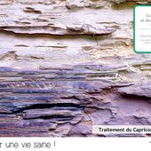 Comment traiter le Capricorne des Charpentes en bois ?