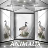 Animaux Luville - Le Blog de Myriam PS