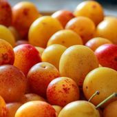La tarte aux mirabelles d'Eric Kayser - La Patisserie de Romain