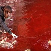 Quand l'eau devient rouge sur la planète - Le Blog de Stella