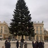 Droit de suite des Vosgiens place Stan' - Marcelle