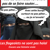 Vive le cochon! - Humour,méchanceté, satyre et sarcasmes