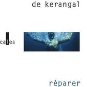 Réparer les vivants ✒️✒️✒️ de Mailys de Kerangal - Carnet de bord littéraire