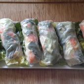 Rouleaux de printemps - Les recettes de sandrine au companion ou pas