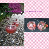 Mojito fraise - Les recettes de sandrine au companion ou pas