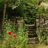 Le Clerjus - LienslesVoivres88240