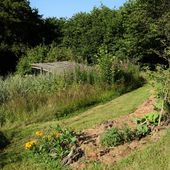 Mon potager du moindre effort - Au jardin des Quatre Moineaux