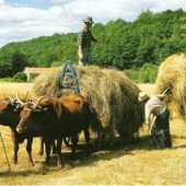 Les foins d'autrefois