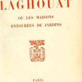 Laghouat ou les maisons entourées de jardins
