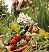La Solution à la Faim dans le Monde - Guylaine au Naturel