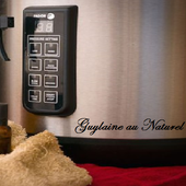 Nettoyant pour acier inoxydable avec Huile Essentielle de Citron - Guylaine au Naturel