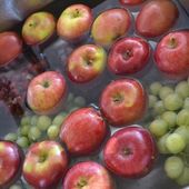 Lutter contre les pesticides cancérigènes - Guylaine au Naturel