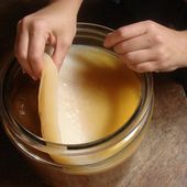 Le kombucha maison : comment faire? - Guylaine au Naturel
