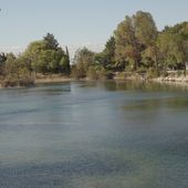 Balade à l'Etang de Bel Air. - Les avis d'Emilie