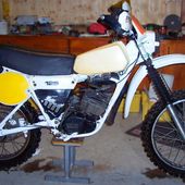 YZMX, la renaissance - Berna1201