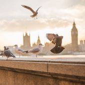 Séjour à Londres en semaine - Départ en février 2017 - 1 nuit - voyager-malin.over-blog.com