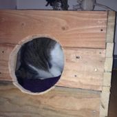 Tuto - Arbre à chats de mes chats - Idées de chats