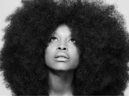 Les vitamines ladys formula la peau les cheveux les ongles