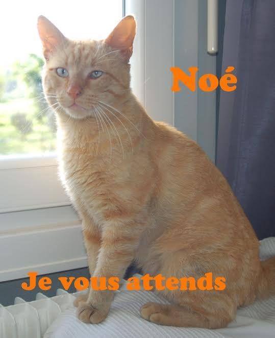 rencontre ergue gaberic