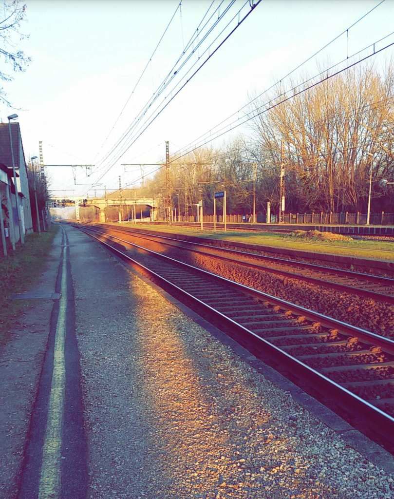 La reprise