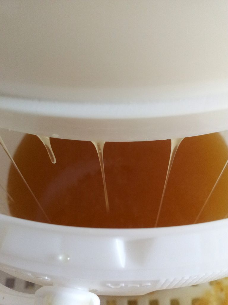 Récolte du miel