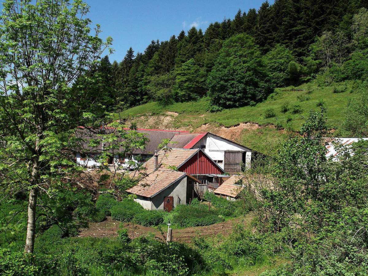 La ferme du Ruchberg, en haut du vallon du Kerbach. 
