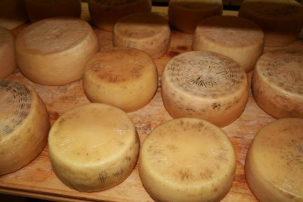 Pecorino.. l'autre fromage Italien! - Les ABRUZZES: un voyage en Italie  autrement, cuisine italienne et produits naturels, mer et montagnes.