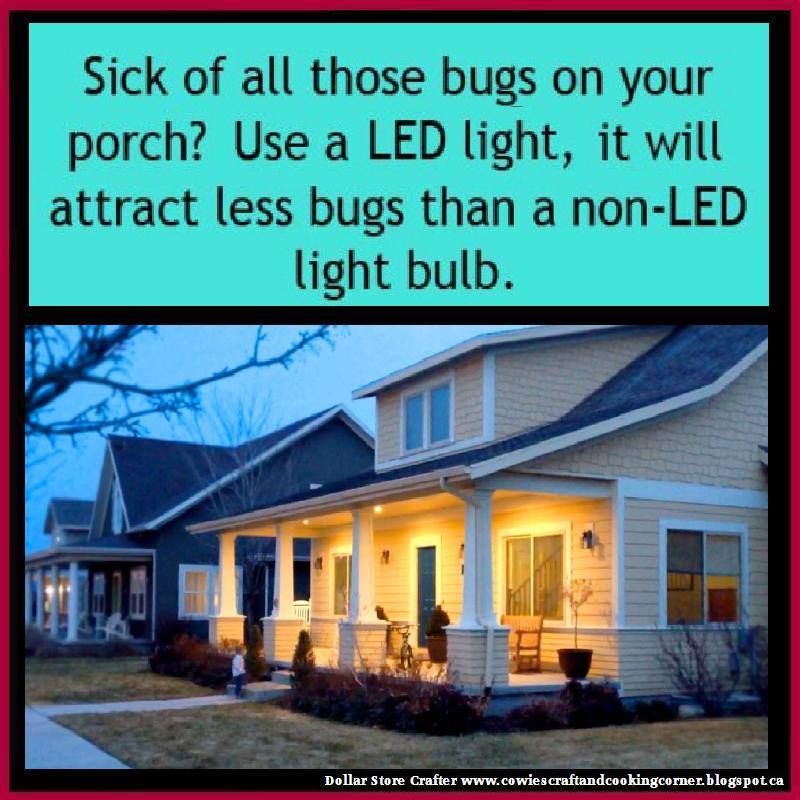 How To Watch The Stars On A Bug Free Porch