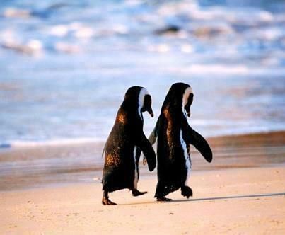 deux personnes qui se rencontre osho