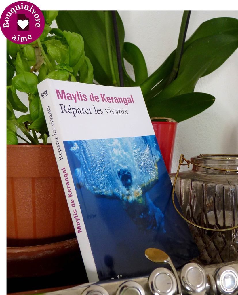 Réparer les Vivants by Maylis de Kerangal, Paperback | Pangobooks