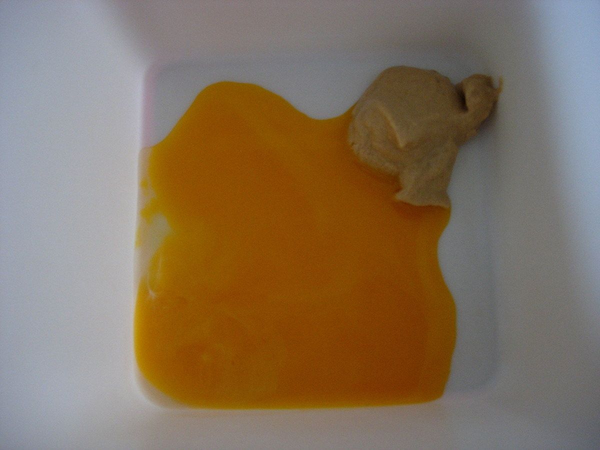 Mayonnaise au citron Intolérance au fructose Fructosémie avec le sourire