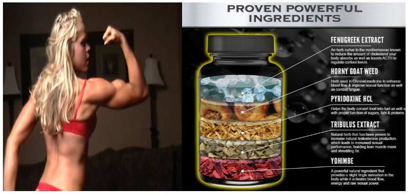X Alpha Muscle Review Muscle Supplements Quick Boost Your Images, Photos, Reviews