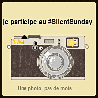 silent sunday #week 39