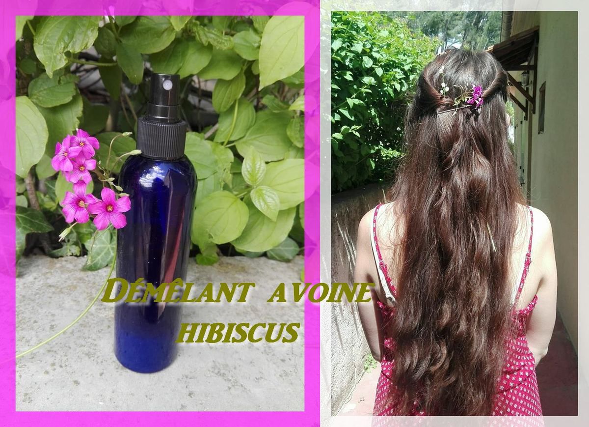 Spray démêlant avoine hibiscus : Pour des cheveux doux, brillants et  faciles à coiffer ! - Des passions des rêves