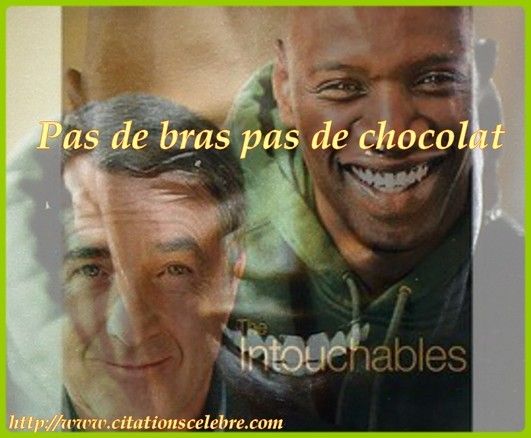 citation film kiss and cry