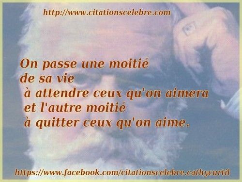 citation film sur la vie
