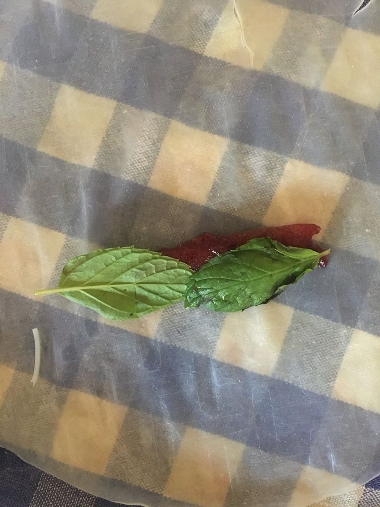 Des rouleaux de printemps au poulet 