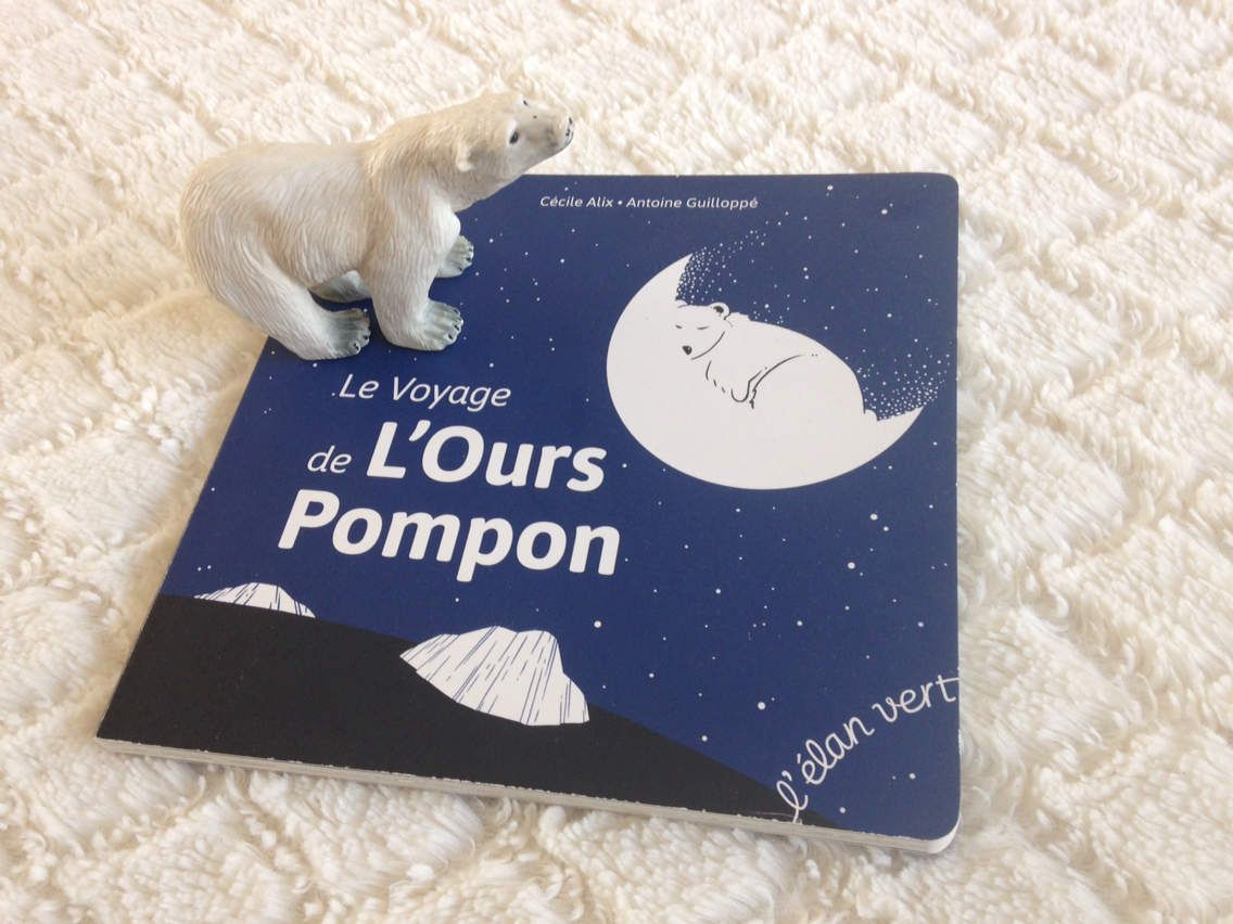 Cache-cache avec Petit Noun / Le voyage de l'Ours Pompon