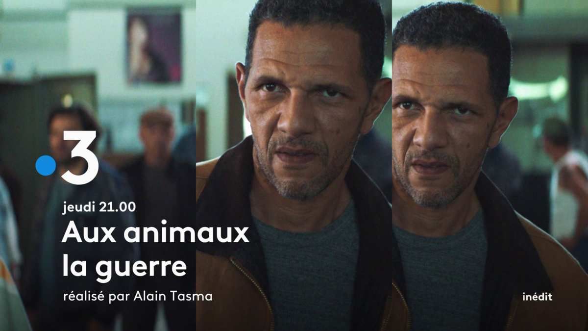 Aux Animaux La Guerre Bande Annonce "Aux animaux la guerre" jeudi 15 novembre à partir de 21h00 sur France