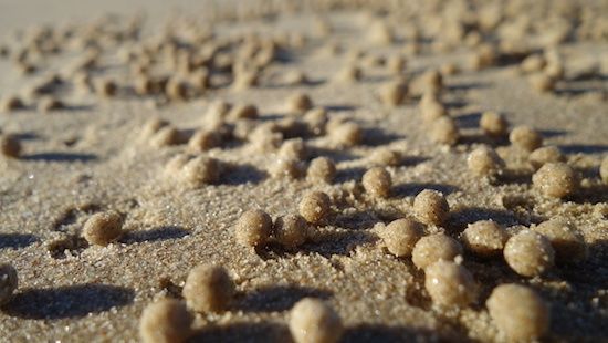 faire des rencontres sur la plage