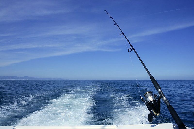Les différentes catégories de pêche en mer - Yannick Dacheville et