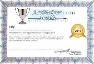 Artmajeur Award_2016_Valy