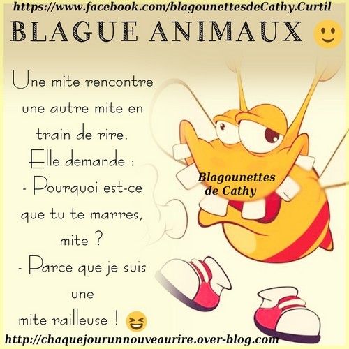 blague sur une rencontre