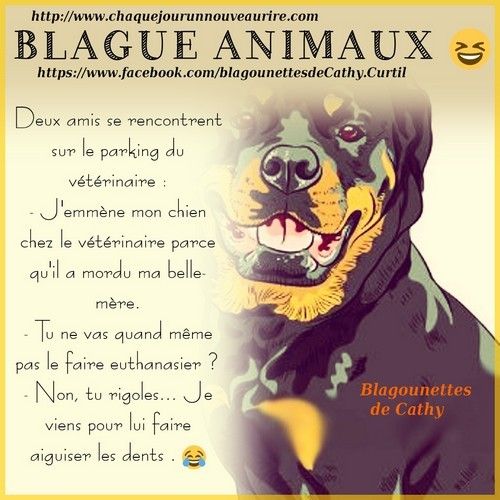 je les rencontrent