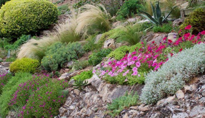 Quelles plantes sur une pente ? - L'Art'griculture