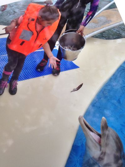 rencontre avec les dauphins marineland antibes